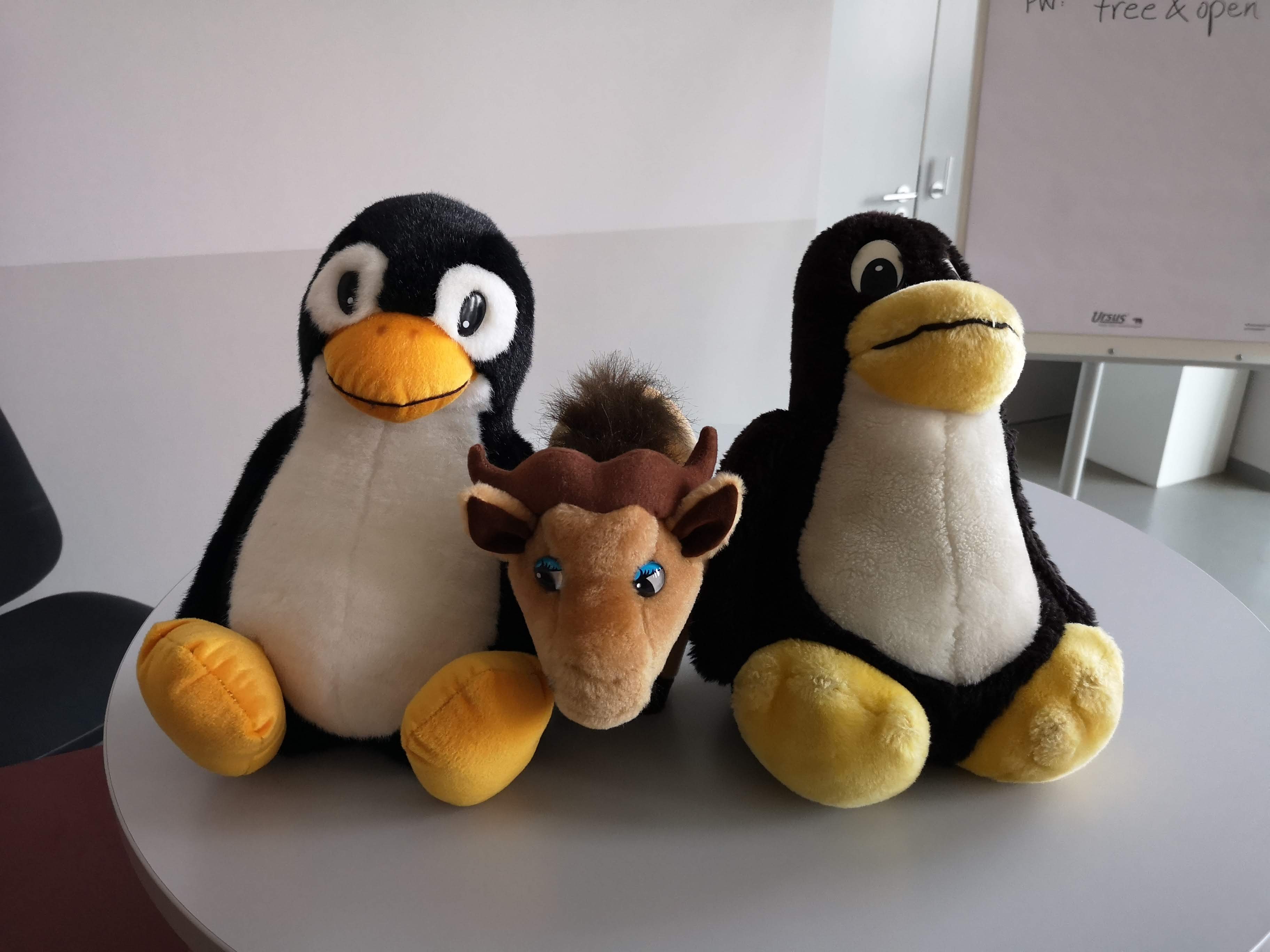 Photo of the official Linux mascot Tux penguin representing open-source infrastructure governance